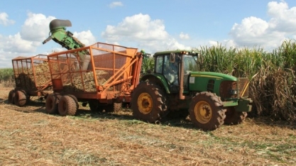 Moagem da cana-de-açúcar ultrapassa 47 milhões de toneladas em MS