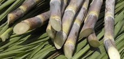 ATR SP: Valor acumulado sobe 0,26% em fevereiro