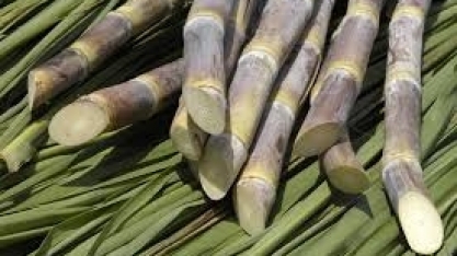 ATR SP: Valor acumulado sobe 0,26% em fevereiro