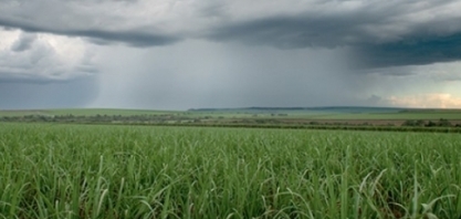 Meteorologia sugere mais etanol e preço maior do açúcar