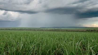 Meteorologia sugere mais etanol e preço maior do açúcar