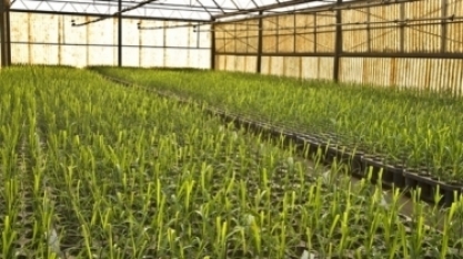Posicionamento sobre lei de proteção de cultivares