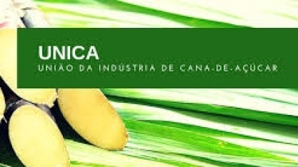 Presidente do conselho da São Martinho ocupará o mesmo cargo na Unica