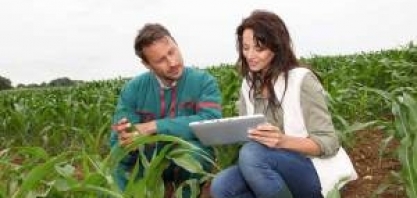 Cresce a procura por profissionais mais sêniores no agronegócio, detecta Michael Page