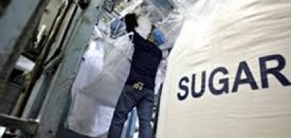 Não é para principiantes 