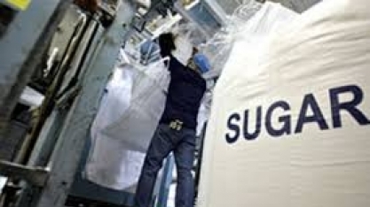 Não é para principiantes