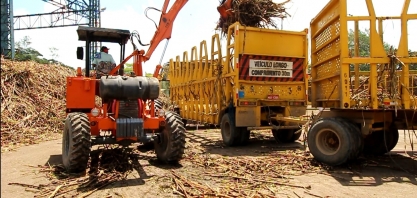 Safra 18/19 em AL acumula produção de 15 milhões de toneladas de cana beneficiadas