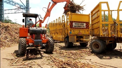 Safra 18/19 em AL acumula produção de 15 milhões de toneladas de cana beneficiadas