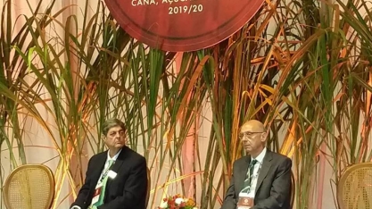 Primeira estimativa da Datagro para a safra 2019/20 é de moagem de 583 milhões de toneladas de cana-de-açúcar