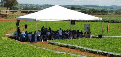 Tecnologias sobre milho, sorgo e amendoim serão mostradas na ExpoTec 2019