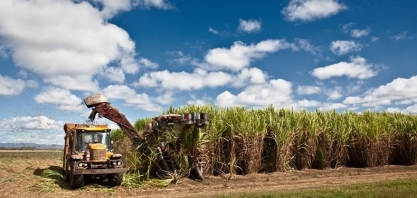 Projeto Brazil Sugarcane promove ação internacional em El Salvador 