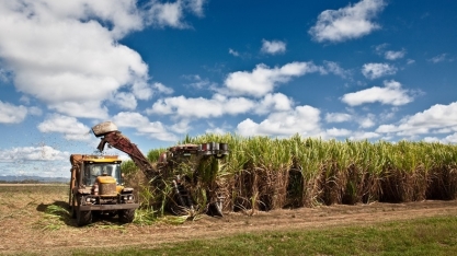 Projeto Brazil Sugarcane promove ação internacional em El Salvador 
