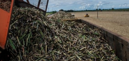 S&P Global Platts corta previsão de déficit de açúcar na safra 2019/20