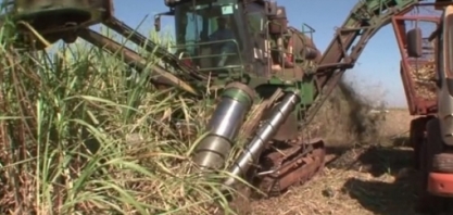 Liderança do setor sucroalcooleiro crê em dias melhores