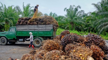 Comissão Europeia adota critérios mais rígidos para biocombustíveis