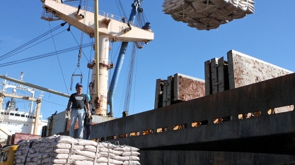 Com Brexit, carne e açúcar do Brasil perdem fatia na União Europeia