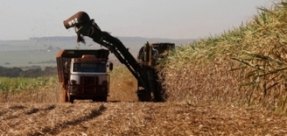 Moagem no centro-sul atinge 1,59 milhão de toneladas na primeira quinzena de março