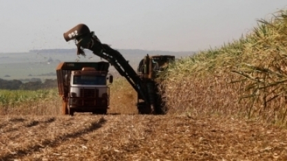 Moagem no centro-sul atinge 1,59 milhão de toneladas na primeira quinzena de março