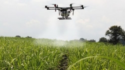 Manejo de variedades, irrigação e vantagens e desvantagens de drones e vants serão alguns temas Agronômicos do Fórum UDOP 