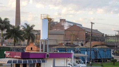 Safra da cana na macrorregião de piracicaba deve começar em abril