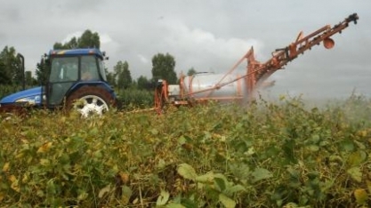 Legados de uma tradição em inovar