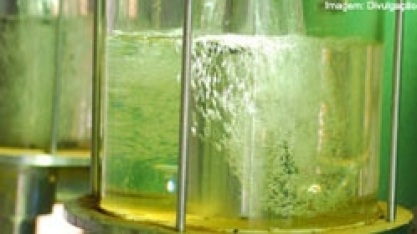 Etanol: hidratado sobe 0,18% e anidro valoriza 1,58% na semana