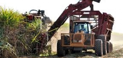 FCStone corta em 2,3% previsão para produção de açúcar no centro-sul em 2019/20 