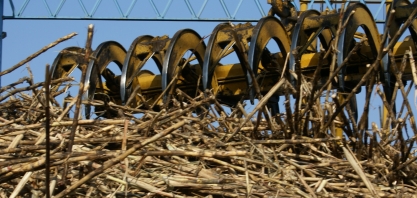 Pindorama encerra safra 18/19 com crescimento de 27%