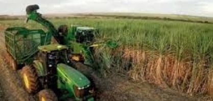 Sucden vê produção de açúcar no CS do Brasil subindo a 27,1 mi t em 2019/20 