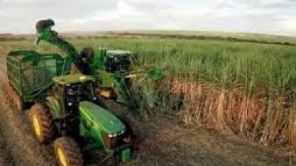 Sucden vê produção de açúcar no CS do Brasil subindo a 27,1 mi t em 2019/20 