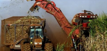 Safra 2019/20 de cana começa oficialmente em primeiro de abril