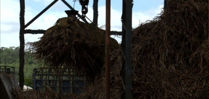 Conselho de Produtores de Cana e Etanol de AL e SE discute finalização da safra 2018-2019