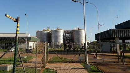 Produção de etanol em MT deve triplicar nos próximos 5 anos com instalação de novas usinas, estima setor