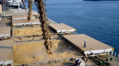 Commodities Agrícolas