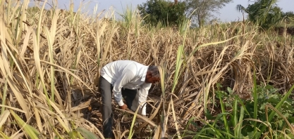 Pernambuco tem pior saldo de empregos do Brasil em fevereiro de 2019, aponta Caged