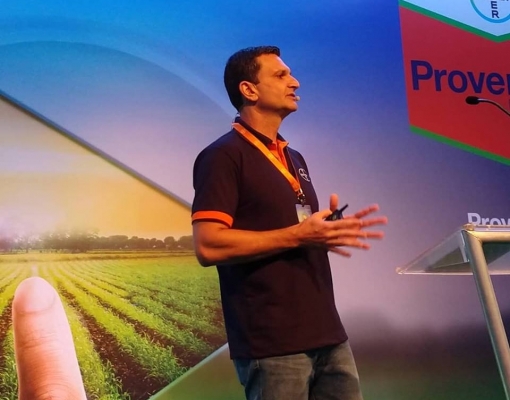 Paulo Donadoni: sem a necessidade de repasse sobre as plantas daninhas durante o período seco da safra