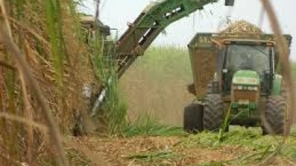 Startups desenvolvem tecnologia para atender futura demanda pelo hidrogênio combustível