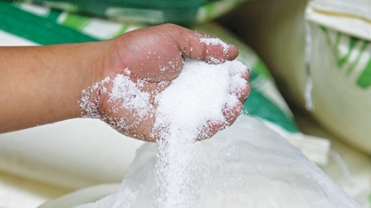 Usinas da Índia fecham contratos para exportar 2,2 mi t de açúcar, diz associação 