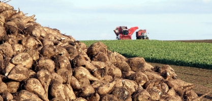 Açúcar em baixa prejudica gigante alemã