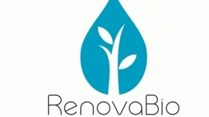 RenovaBio: ANP faz consulta pública sobre metas de descarbonização