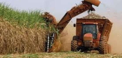 Etanol sobe nos postos, mas valores recebidos pelos produtores caem