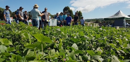 Pesquisa e Inovação: a distância entre o discurso político e as ações