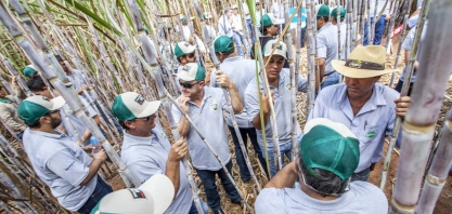 Começa a temporada de dias de campo na lavoura canavieira. Confira a cobertura na CanaOnline