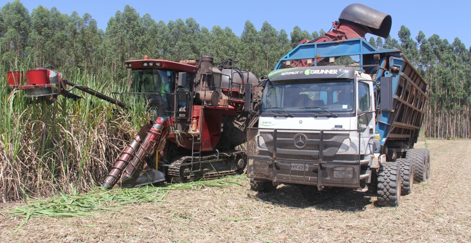Caminhão Axor 3131 com direção autônoma nos canaviais da Agro Cana Caiana