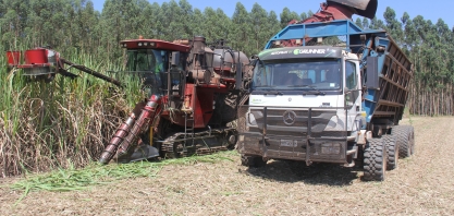 Agro Cana Caiana usa caminhão como transbordo e desenvolve sua própria tecnologia de direção autônoma