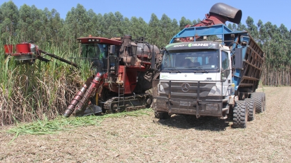 Agro Cana Caiana usa caminhão como transbordo e desenvolve sua própria tecnologia de direção autônoma