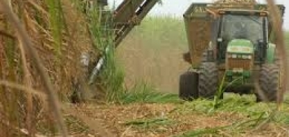 Safra encerrada no Centro-Sul atinge 573,07 milhões de toneladas de cana-de-açúcar, com produção recorde de etanol 