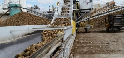 UE prevê produção de açúcar branco em 18,3 mi t em 2019/20