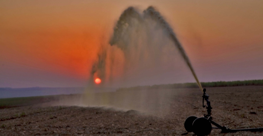 Vinhaça, um dos resíduos da cana que vai virar gás