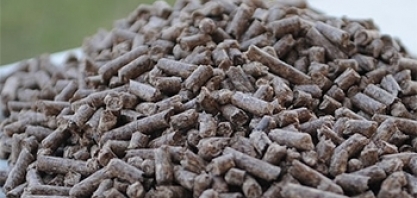 Organização holandesa apoiará pesquisas sobre conversão de biomassa